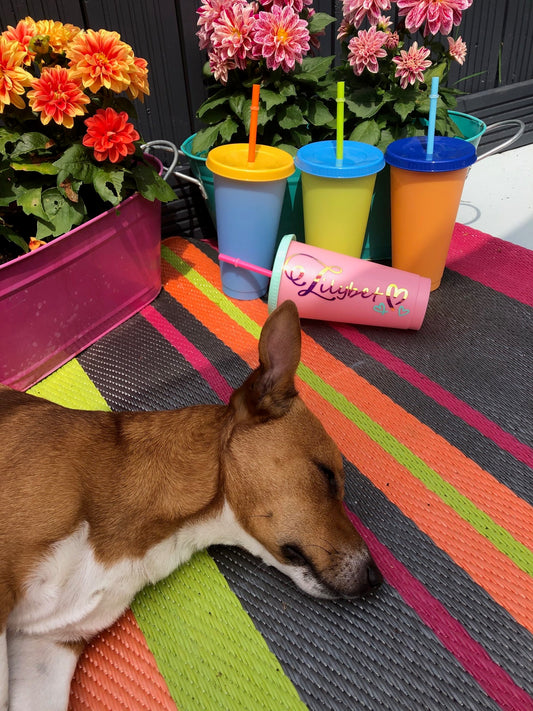 The joys of getting started!